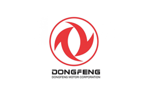 dfm-logo